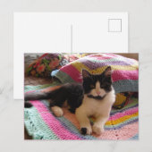 Tuxedo Cat Cute met  Briefkaart met haakwerk (Voorkant / Achterkant)
