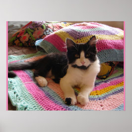 Tuxedo Cat Cute Sleeping Crochet Rug cats Poster