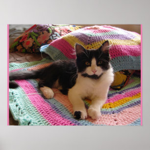 Tuxedo Cat Cute Sleeping Crochet Rug cats Poster