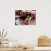 Tuxedo Cat Cute Sleeping Crochet Rug cats Poster (Keuken)