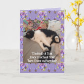 Tuxedo Cat Cute Thinking You Touch Toes Card Kaart (Gele Bloem)