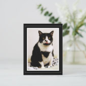 Tuxedo Cat die haar tong uitsteekt Briefkaart (Staand voorkant)