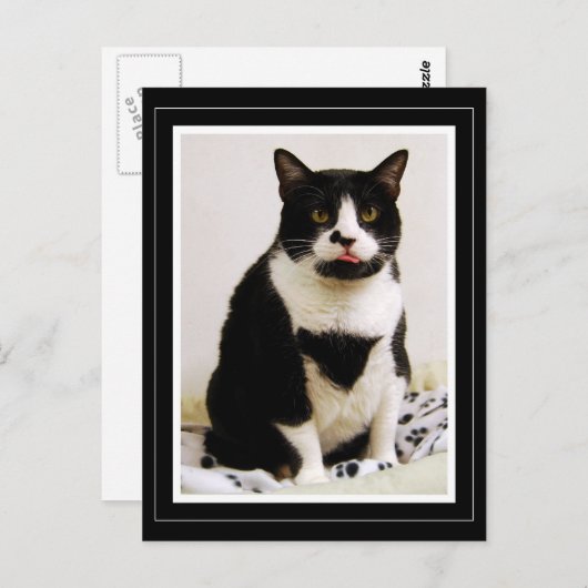 Tuxedo Cat die haar tong uitsteekt Briefkaart (Voorkant / Achterkant)
