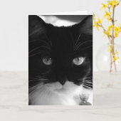 TUXEDO CAT FOTOGRAFIE VERJAARDAG KAART (Gele Bloem)