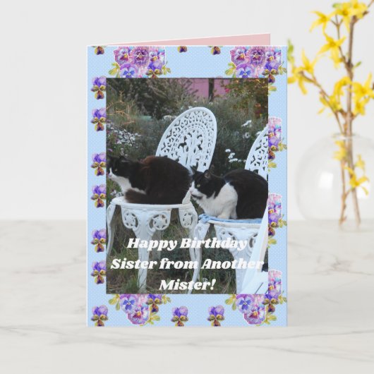 Tuxedo Cat Funny Birthday Zister Mister Kat Kaart (Gele Bloem)