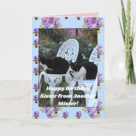 Tuxedo Cat Funny Birthday Zister Mister Kat Kaart