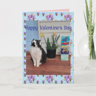 Tuxedo Cat Funny Cute Cats Valentines Day Blue Kaart