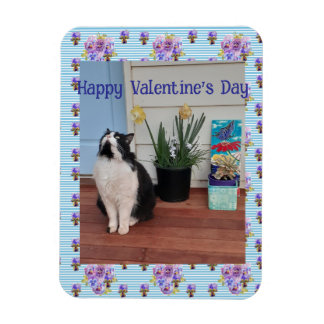 Tuxedo Cat Funny Cute Cats Valentines Day Blue Magneet