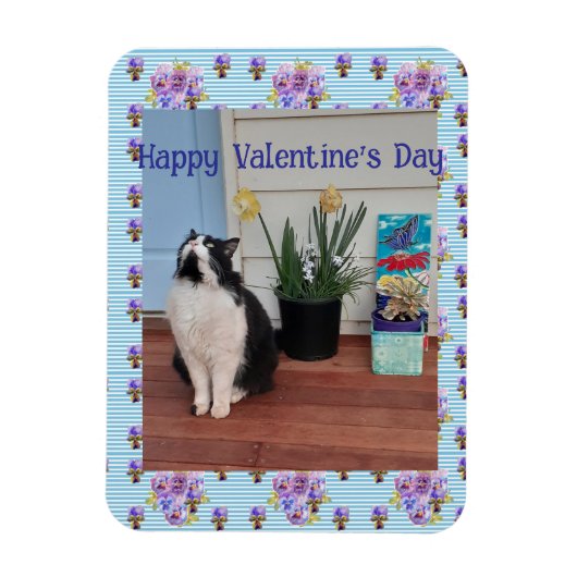 Tuxedo Cat Funny Cute Cats Valentines Day Blue Magneet (Verticaal)