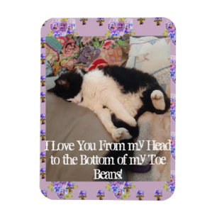 Tuxedo Cat Funny Love You Quote cats Magnet Magneet