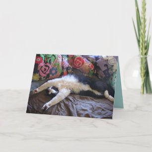 Tuxedo Cat Funny Mexican Wave Cute Birthday Card Kaart
