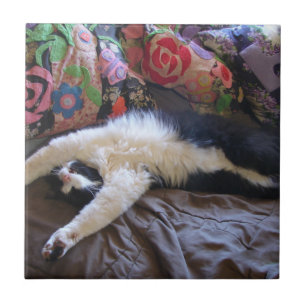 Tuxedo Cat Funny Mexican Wave Cute Birthday Cerami Tegeltje