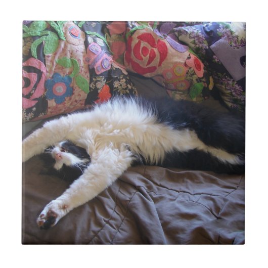 Tuxedo Cat Funny Mexican Wave Cute Birthday Cerami Tegeltje (Voorkant)