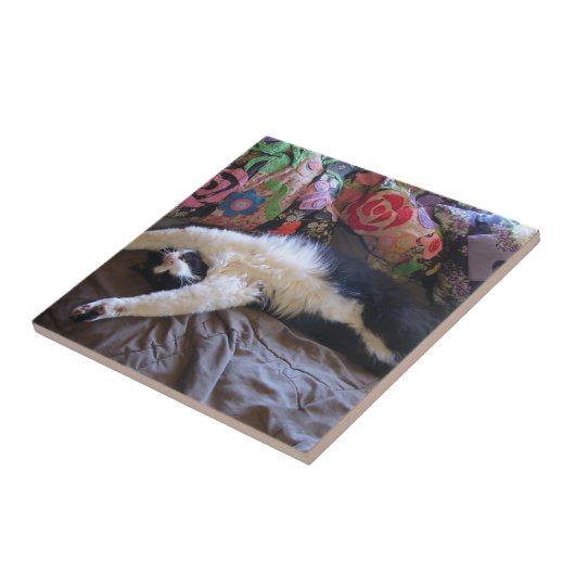 Tuxedo Cat Funny Mexican Wave Cute Birthday Cerami Tegeltje (Zijkant)