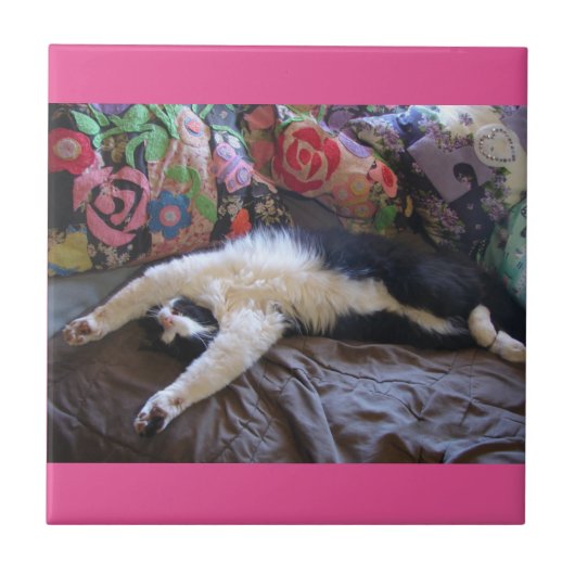 Tuxedo Cat Funny Mexican Wave Cute Birthday Tegeltje (Voorkant)