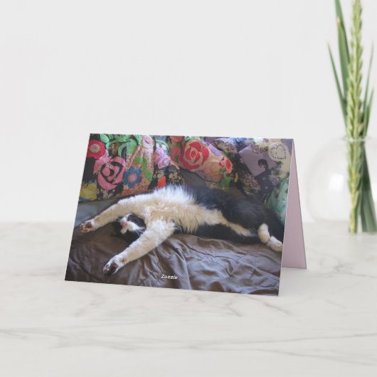 Tuxedo Cat Funny Mexican Wave Moederdag Kaart (Achterkant)