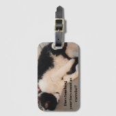 Tuxedo Cat Funny Quote Zwart en Witte Katten Meisj Bagagelabel (Voorkant (verticaal))