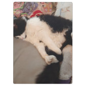 Tuxedo Cat Funny Quote Zwart en Witte Katten Meisj Klembord (Achterkant)