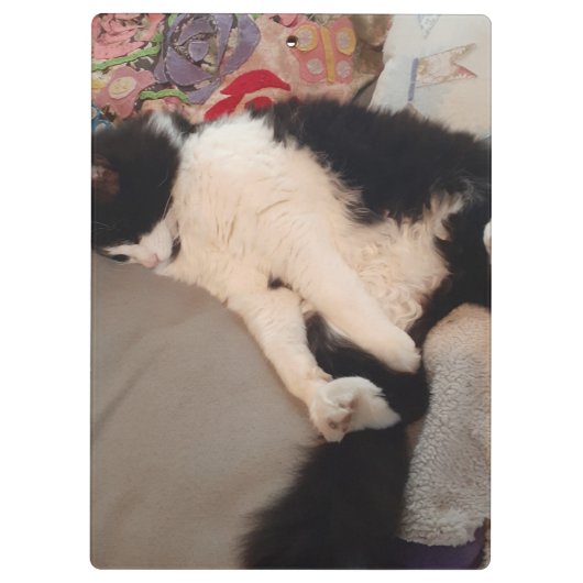 Tuxedo Cat Funny Quote Zwart en Witte Katten Meisj Klembord (Achterkant)