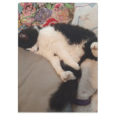 Tuxedo Cat Funny Quote Zwart en Witte Katten Meisj Klembord (Achterkant)