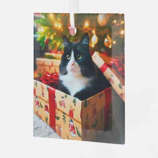 Tuxedo Cat Glass Ornament (Voorkant links)