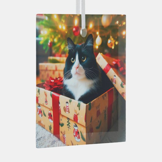 Tuxedo Cat Glass Ornament (Voorkant Rechts)
