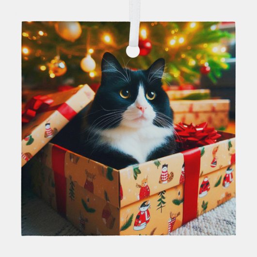 Tuxedo Cat Glass Ornament (Achterkant)