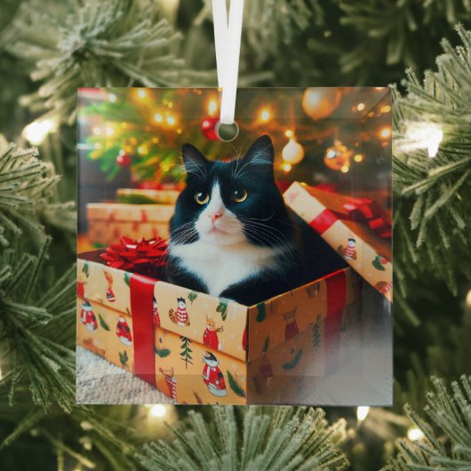 Tuxedo Cat Glass Ornament (Insitu)