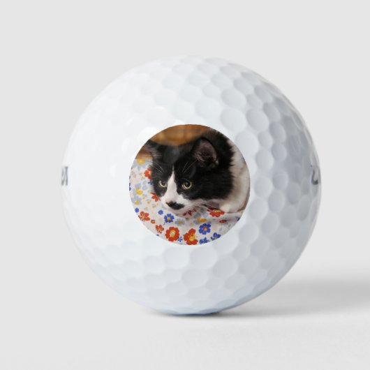 Tuxedo Cat Golfballen (Voorkant)