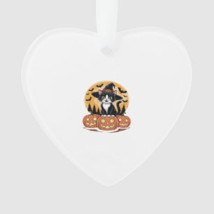 Tuxedo Cat Halloween Heks Mooie Pompoenen Essentie Ornament