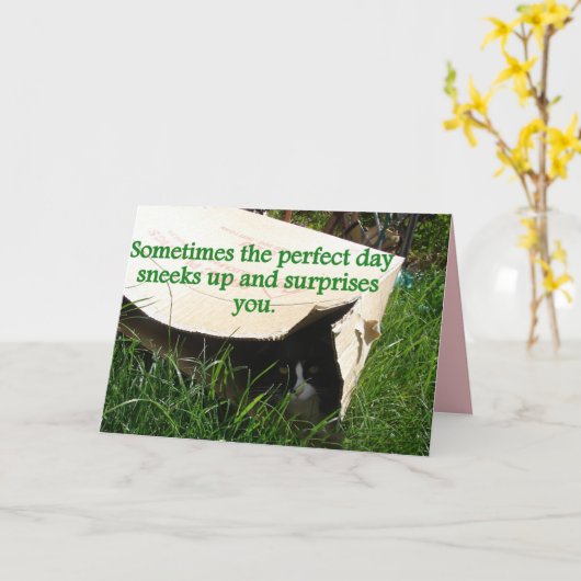 Tuxedo Cat Hiding Perfect Day Quote Card Kaart (Gele Bloem)