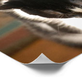 Tuxedo Cat Humor Poster (Hoek)