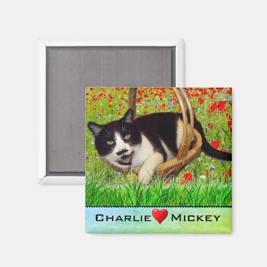 Tuxedo Cat in Basket Fridge Magnet (Voorkant / Achterkant)