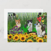 Tuxedo Cat in de bloementuin/collage kunst Briefkaart (Voorkant / Achterkant)