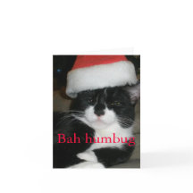 Tuxedo Cat in Santa Hat