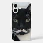 Tuxedo Cat iPhone Case (Achterkant)