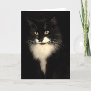 Tuxedo Cat Kaart
