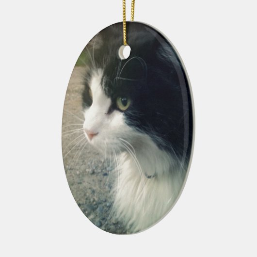 Tuxedo Cat Keramisch Ornament (Links)