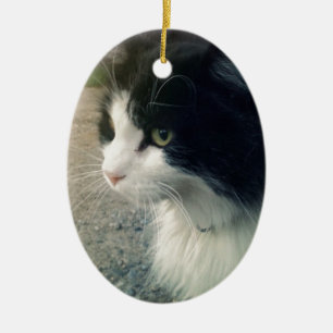 Tuxedo Cat Keramisch Ornament