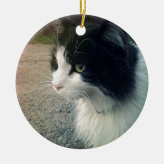 Tuxedo Cat Keramisch Ornament (Voorkant)
