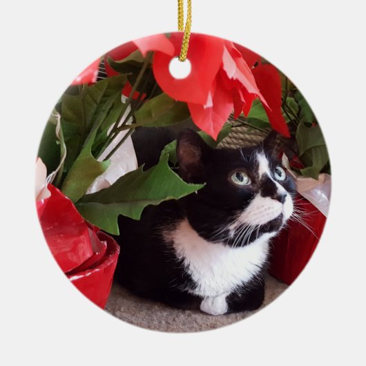 Tuxedo Cat kerstversiering Keramisch Ornament (Voorkant)