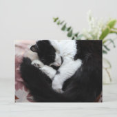 Tuxedo Cat Kitty Cats Black en White Caturday Feestdagenkaart (Staand voorkant)