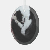 Tuxedo Cat Kitty Cats Black en White Caturday Glas Ornament (Voorkant links)