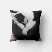 Tuxedo Cat Kitty Cats Black en White Caturday Kussen (Achterkant)