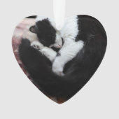 Tuxedo Cat Kitty Cats Black en White Caturday Ornament (voorkant)