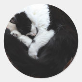 Tuxedo Cat Kitty Cats Black en White Caturday Ronde Sticker (Voorkant)