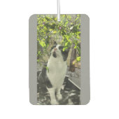 Tuxedo Cat Luchtverfrisser (Voorkant)