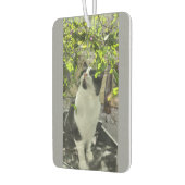 Tuxedo Cat Luchtverfrisser (Links)