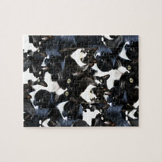 Tuxedo Cat Madness Legpuzzel (Horizontaal)