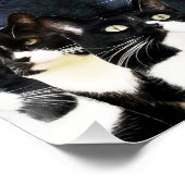 Tuxedo Cat Madness Perfect Poster (Hoek)